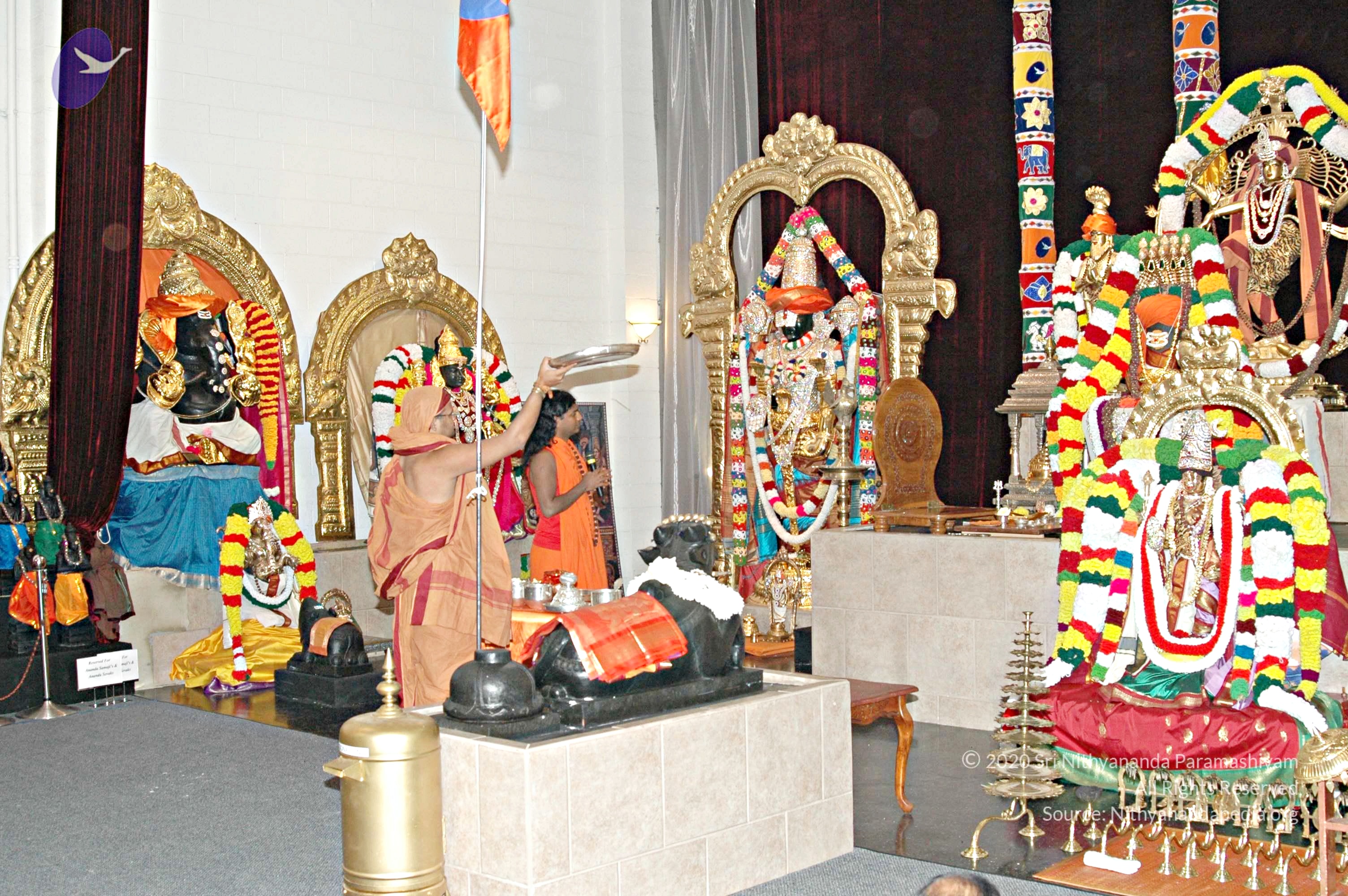 MedCamp25Nov2007 211_CMP_WM